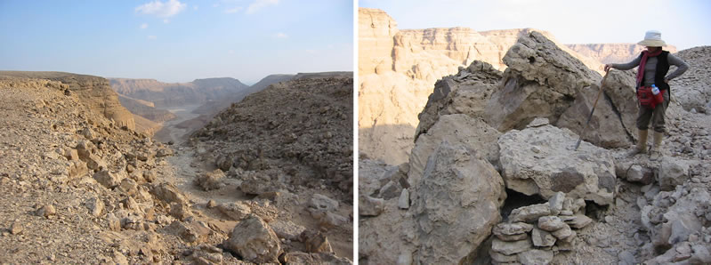 Figure 1 (left) A View of the Wadi of the Horus Qa-a, looking south from the head of the wadi. Right, Deborah Darnell at a group of dry stone structures near the top of the plateau at the head of the Wadi of the Horus Qa-a.
