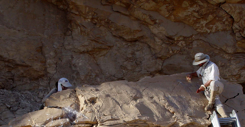 Copying rock inscriptions near Gebel Tjauti.