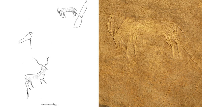 Figure 12 (left) Group VI of the late Naqada II period tableau at the mouth of the Wadi of the Horus Qa-a. Figure 13 (right) Dying animal from the concluding section of Group VI.