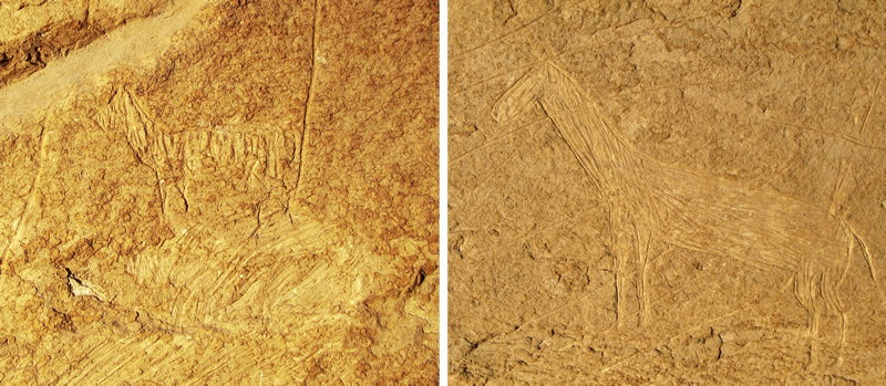 Figure 9 Details from Group IV. Left (a) hornless quadraped on the stern of the boat. Right (b) donkey above and to the right of the boat.