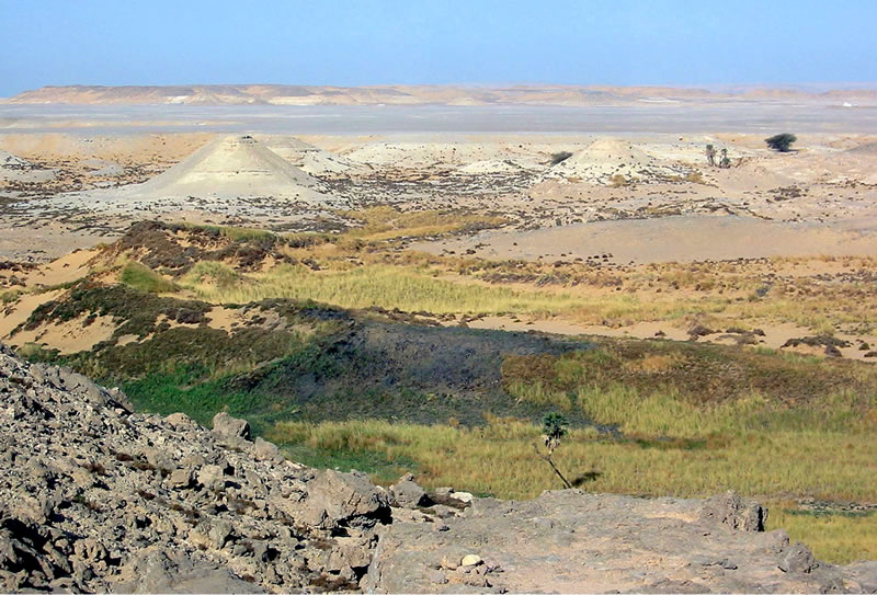 Figure 1 Kurkur Oasis, main wadi, point of entry for major pharaonic route from the northeast.