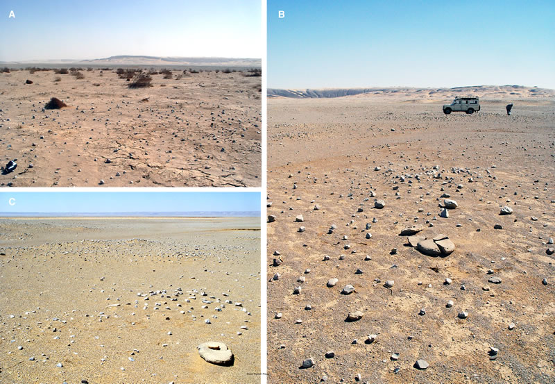 Figure 18 (A) Northeastern portion of Nuq’ Maneih Playa, with Gebel Barqa in background to the east. (B) Nuq’ Maneih Playa. (C) Nuq’ Maneih pan seen from the northeast edge, with mortar, rubbing stone, and hearth mounds in foreground.