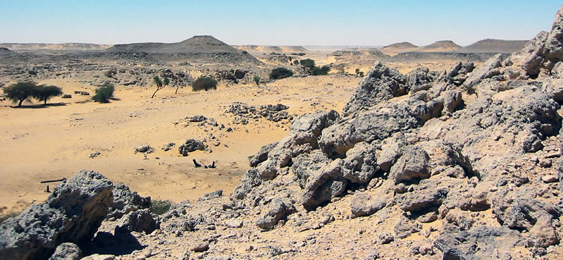 Figure 5 A view up the Northwest Wadi, Kurkur Oasis.