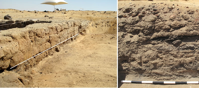 Figure 4 (left) The cast wall of the excavated portion of the Umm Mawagir bakery. Below the white line is the ash that accumulated prior to the construction of the east wall of the bakery (three courses of bricks above the white line). Right photo, excavated section through the debris removed from the bakery during its original operation. The section shows layers of ash and sherds that were dumped here, south of the bakery, to take advantage of a predominant northern wind