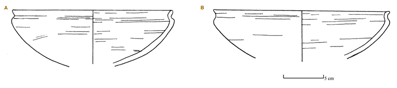 Figure 2 Two Meidum bowls from an Old Kingdom campsite along the Girga Road (W-OK-1). 2A is made from an oasis imitation silt, while 2B is Marl A1.