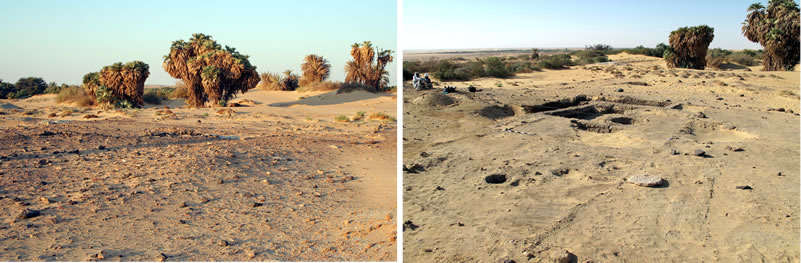 Figure 1 View of the northern portion of the Umm Mawagir site before and after excavation (looking southwest).