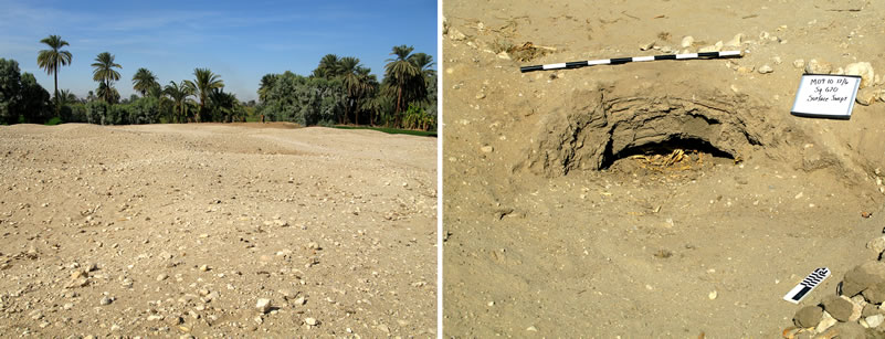 Figure 1 (left) view of site M08-09/S1. Figure 2, exposed mud-brick arch from a tomb at M08-09/S1.