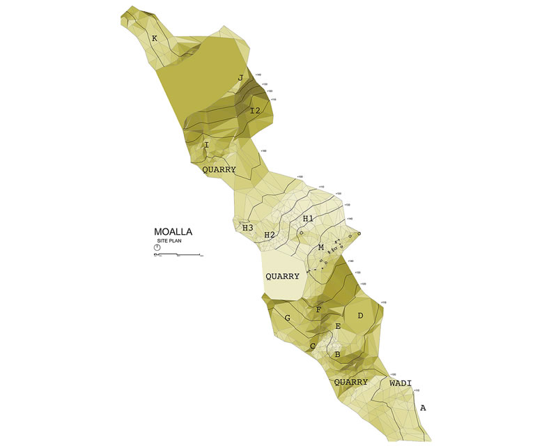 Figure 1 Topographical map of the Mo’alla necropolis, showing the major concentrations of tombs. Three-dimensional modeling was done by architect Jason Kim. 