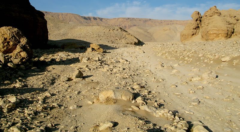Figure 1 A portion of the Wadi Arqub al-Baghla.