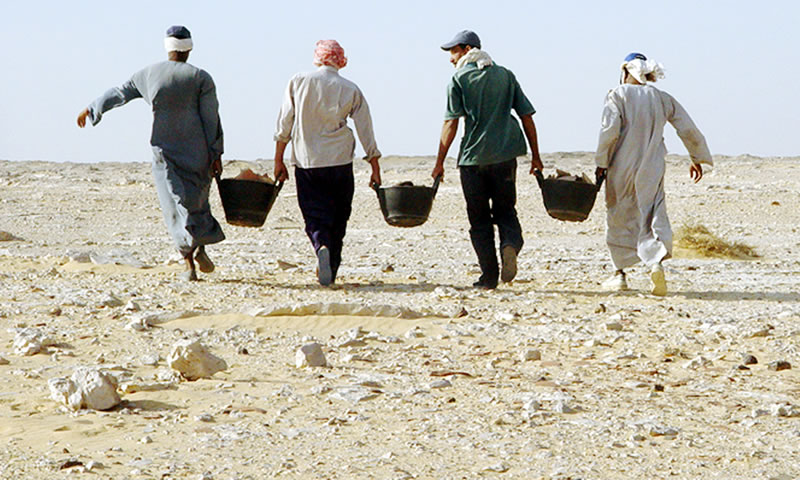 Carrying zir-sherds at Abu Ziyar.